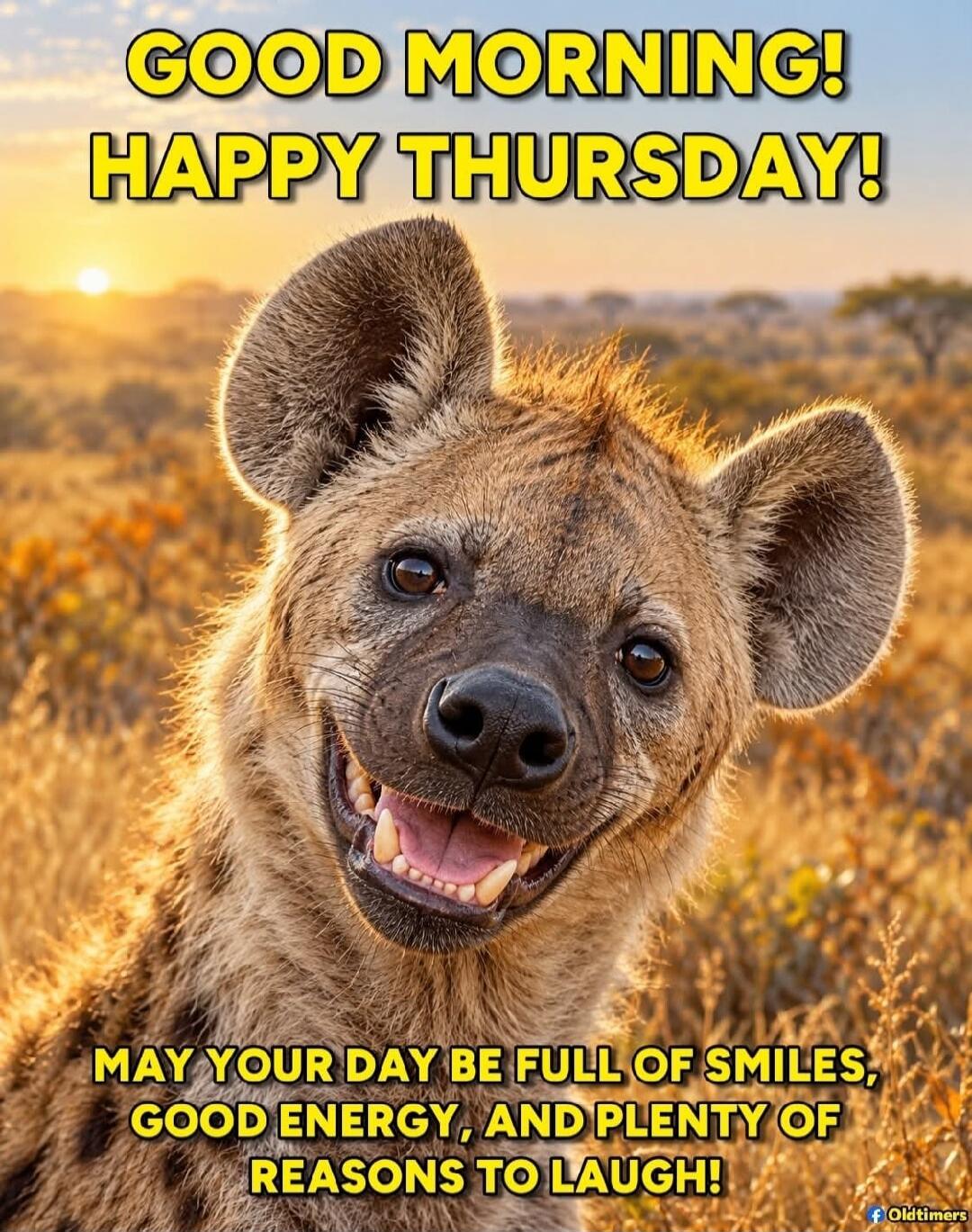 GOOD MORNING! HAPPY THURSDAY! MAY YOUR DAY BE FULL OF SMILES, GOOD ENERGY, AND PLENTY OF REASONS TO LAUGH!
