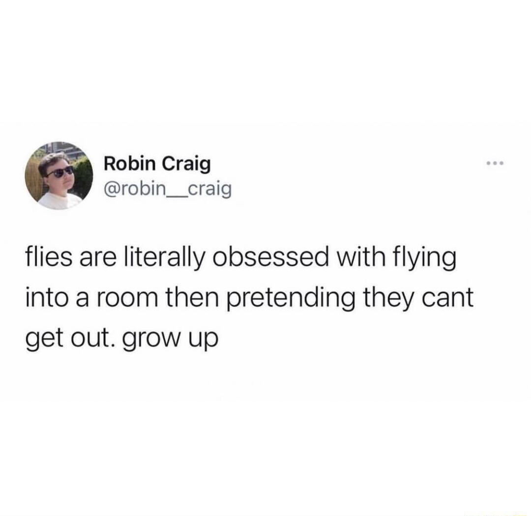 Robin Craig robin_craig flies are literally obsessed with flying into a room then pretending they cant get out grow up