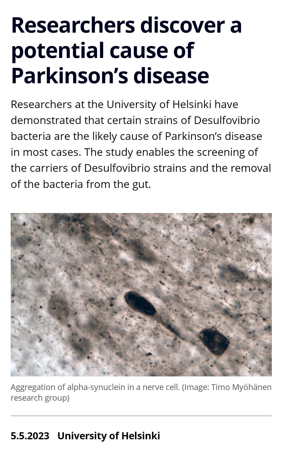 Researchers discover a potential cause of Parkinsons disease Researchers at the University of Helsinki have demonstrated that certain strains of Desulfovibrio bacteria are the likely cause of Parkinsons disease in most cases The study enables the screening of the carriers of Desulfovibrio strains and the removal of the bacteria from the gut Aggregation of alpha synuclein in a nerve cell Image Timo