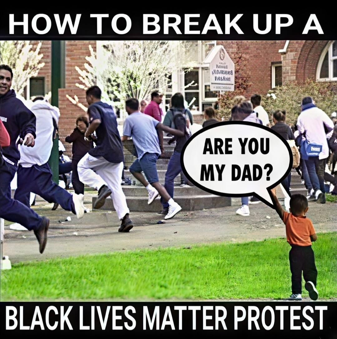 HOW TO BREAK UP A BLACK LIVES MATTER PROTEST ARE YOU MY DAD?