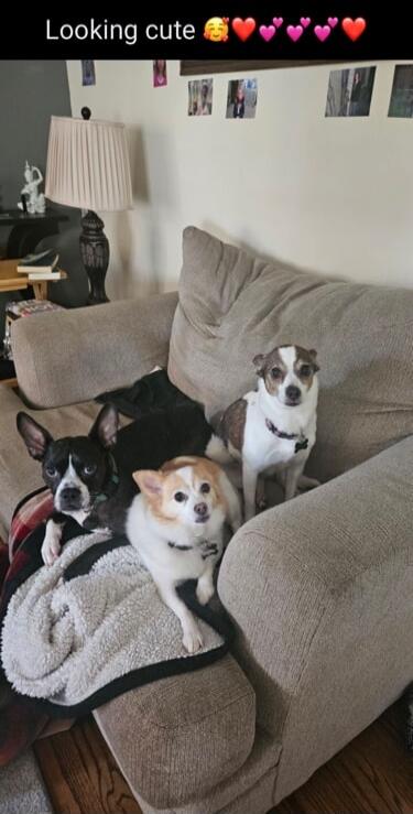 Looking cute 🥰❤️❤️💖💖❤️❤️