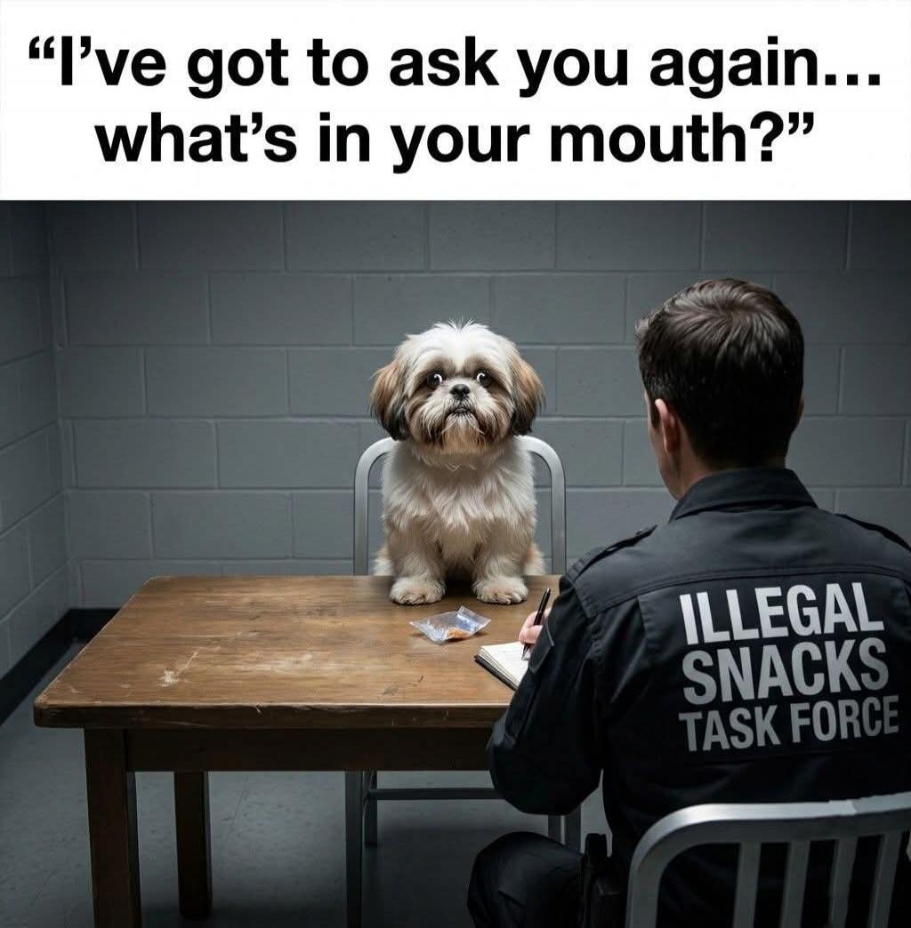 I've got to ask you again... what's in your mouth? ILLEGAL SNACKS TASK FORCE