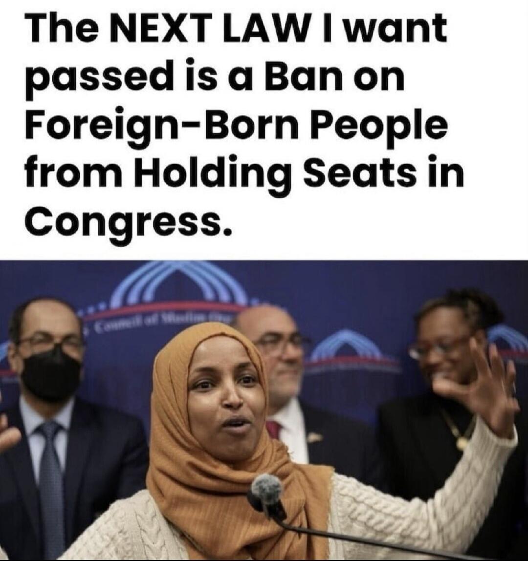 The NEXT LAW I want passed is a Ban on Foreign-Born People from Holding Seats in Congress.