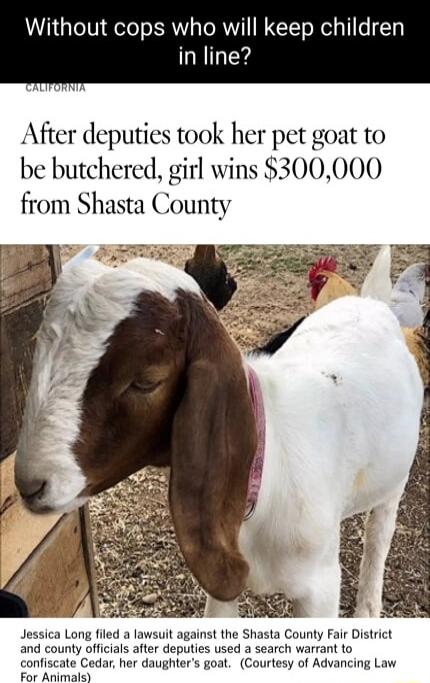 Without cops who will keep children in line After deputies took her pet goat to be butchered girl wins 300000 from Shasta County Serk Jessica Long filed a lay gainst the Shasta County Fair District and county officials after deputies used a search warrant to confiscate Cedar her daughters goat Courtesy of Advancing Law For Animals