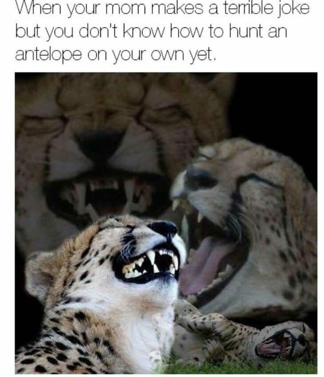 out v U d r l kno an 1tpo OnN your Ow