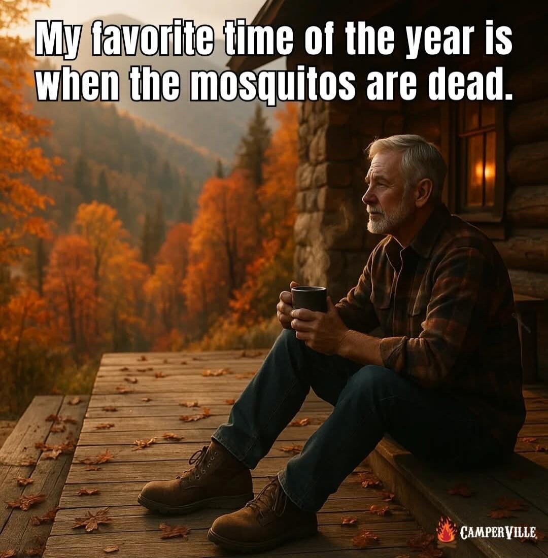My favorite time of the year is when the mosquitos are dead.