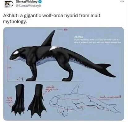 SierraiWniskey Akhlut a gi mythology