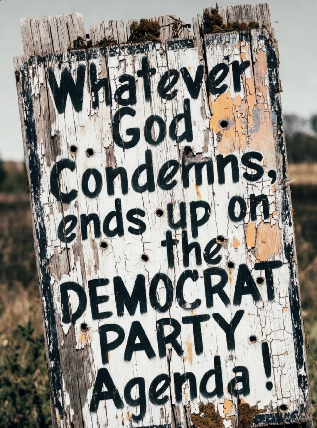 Whatever God Condemns, ends up on the DEMOCRAT PARTY Agenda!