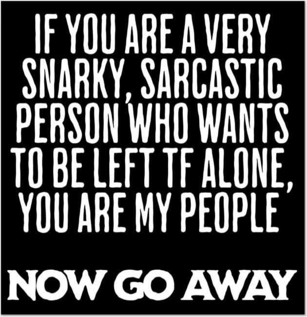 IF YOU ARE A VERY SNARKY, SARCASTIC PERSON WHO WANTS TO BE LEFT TF ALONE, YOU ARE MY PEOPLE NOW GO AWAY