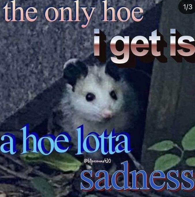 the only hoe Frsdi getis ahqew 6 sadnss