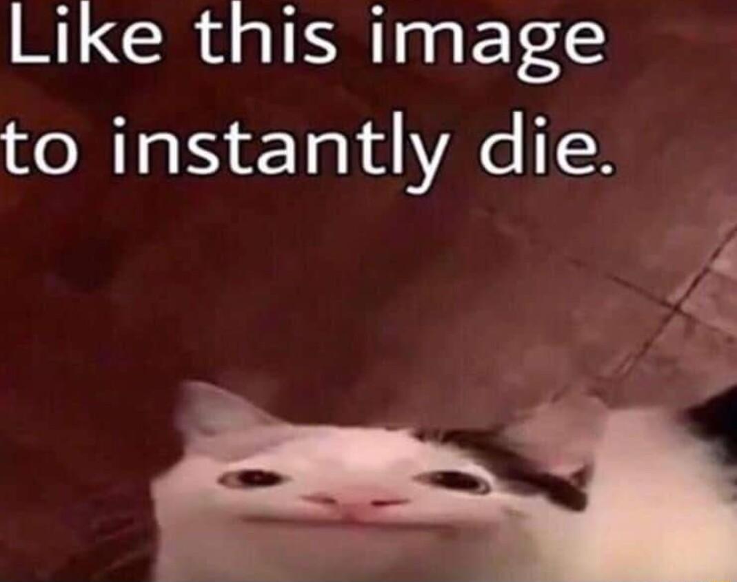 Like this image to instantly die 4 45