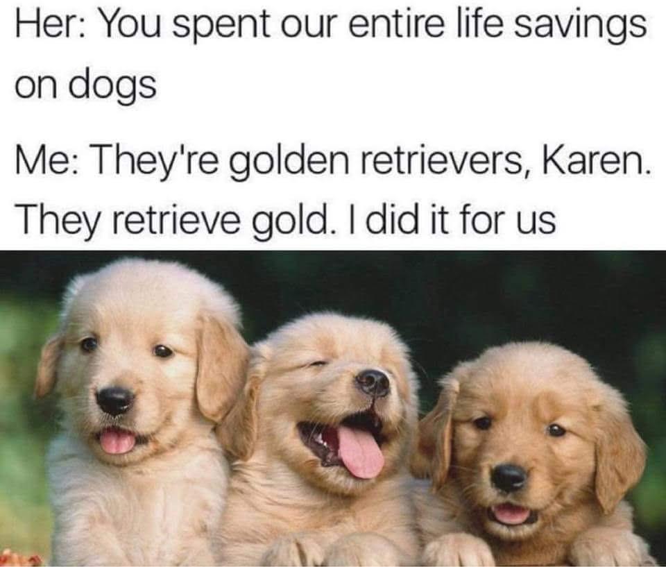 Her You spent our entire life savings on dogs Me Theyre golden retrievers Karen They retrieve gold did it for us