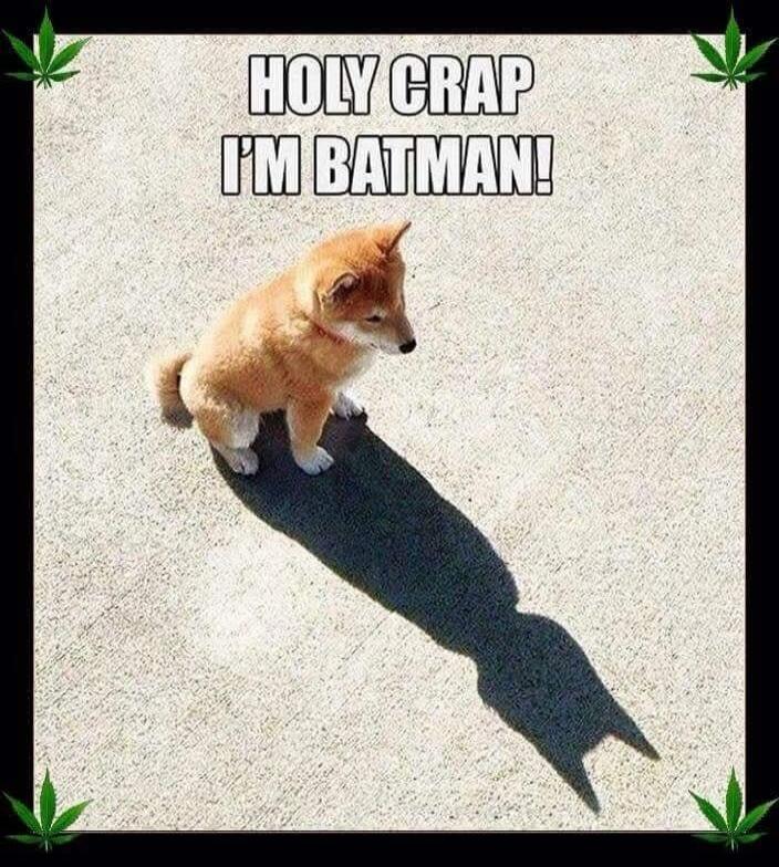 HOLY CRAP I'M BATMAN!