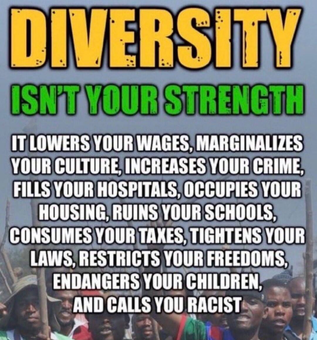 DIVERSITY ISN'T YOUR STRENGTH IT LOWERS YOUR WAGES, MARGINALIZES YOUR CULTURE, INCREASES YOUR CRIME, FILLS YOUR HOSPITALS, OCCUPIES YOUR HOUSING, RUINS YOUR SCHOOLS, CONSUMES YOUR TAXES, TIGHTENS YOUR LAWS, RESTRICTS YOUR FREEDOMS, ENDANGERS YOUR CHILDREN, AND CALLS YOU RACIST
