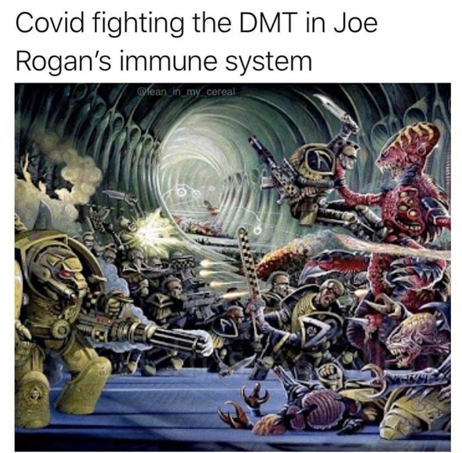 Covid fighting the DMT in Joe Rogans immune system