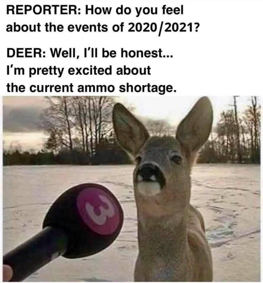 REPORTER How do you feel about the events of 20202021 DEER Well Ill be honest Im pretty excited about the currentammo shortage