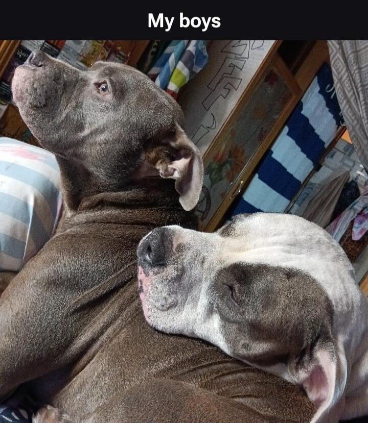 My boys