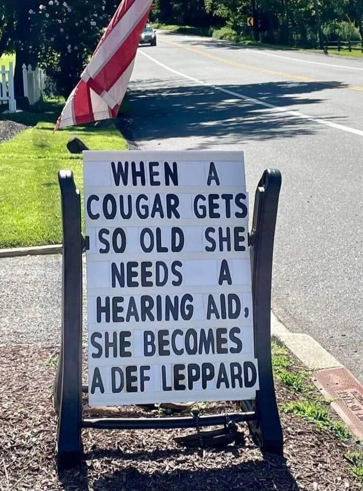 WHEN A COUGAR GETS SO OLD SHE NEEDS A HEARING AID, SHE BECOMES A DEF LEPPARD