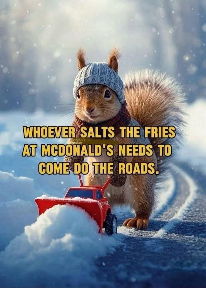 Whoever salts the fries at McDonald's needs to come do the roads.