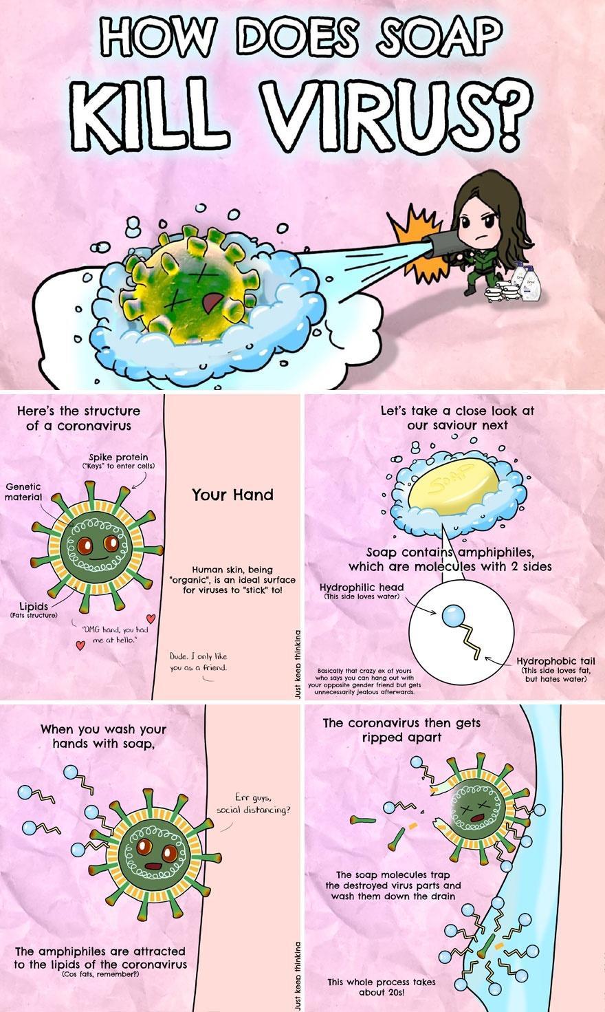 HOW SOAP KILL VIRUISY Heres the structure of a coronavirus spike protein Ceys fo enter colly Genetic material Your Hand Human skin being for viruses to stick fol Lipids El G hand ou had me b bello v Dude only ke you as a friend When you wash your hands with soap Eer gups social distancing The amphiphiles are attracted to the lipids of the coronavirus Cos fats remember organic is an ideal surface J