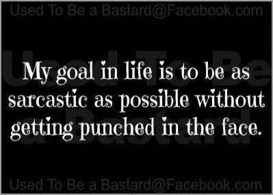 My goal in life is to be as sarcastic as possible without getting punched in the face.
