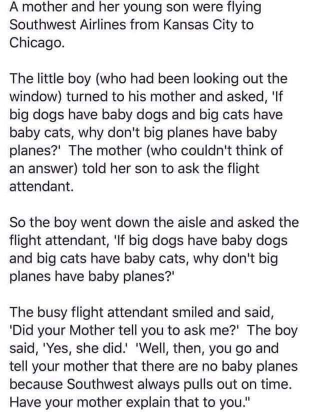 A mother and her young son were flying Southwest Airlines from Kansas City to Chicago The little boy who had been looking out the window turned to his mother and asked If big dogs have baby dogs and big cats have baby cats why dont big planes have baby planes The mother who couldnt think of an answer told her son to ask the flight attendant So the boy went down the aisle and asked the flight atten