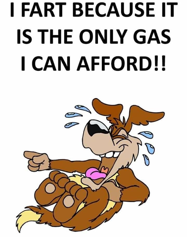 FART BECAUSE IT IS THE ONLY GAS CAN AFFORD