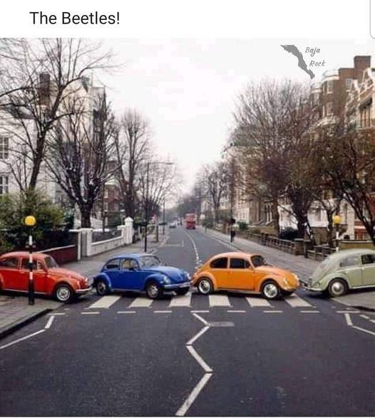The Beetles