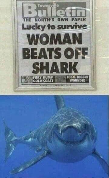 Townsville Bulletin - The North's Own Paper. Lucky to survive. WOMAN BEATS OFF SHARK. FURY DUMP GOLD COAST. LOCAL DIGGER WOUNDED.