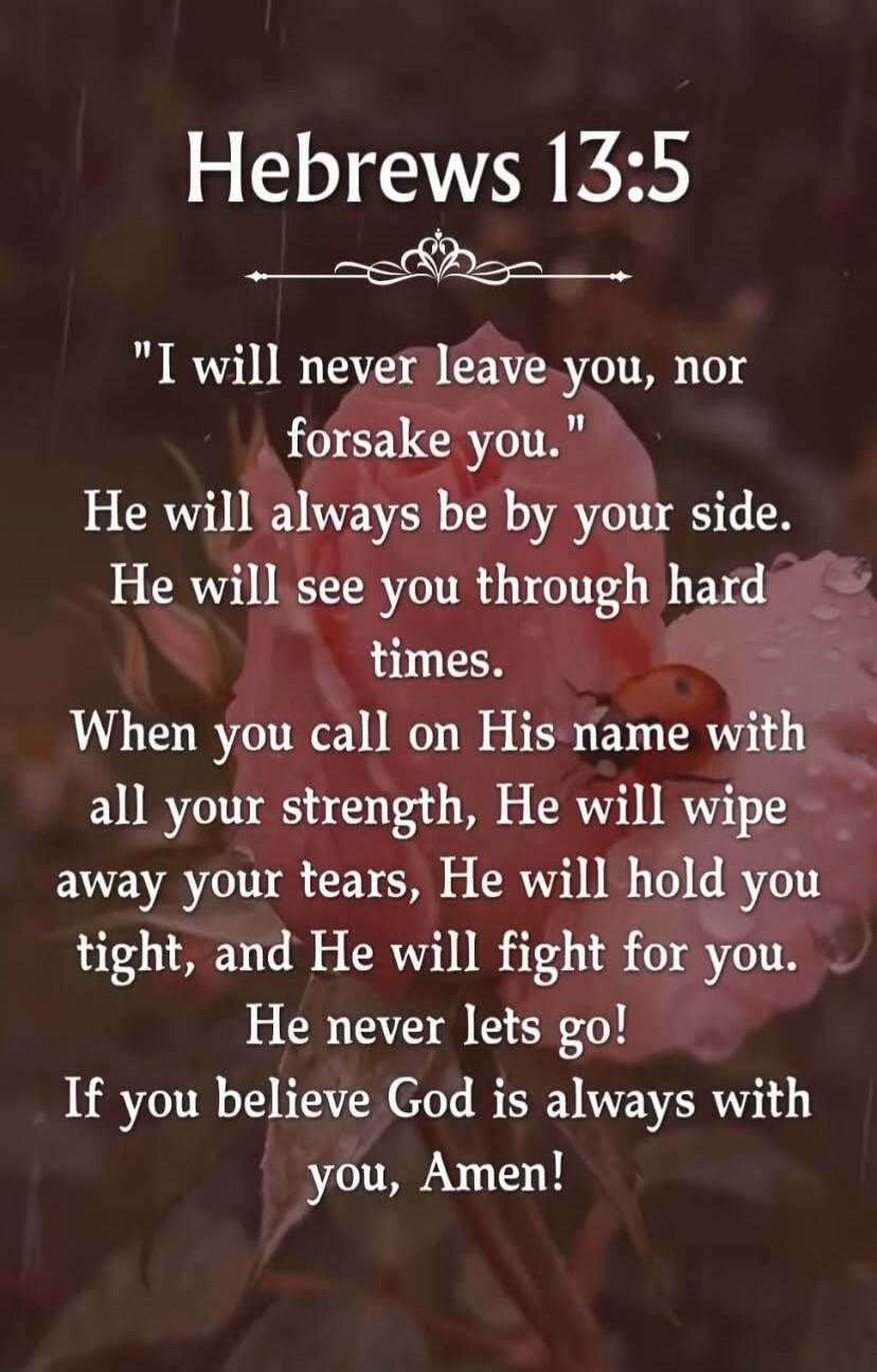 Hebrews 13:5 