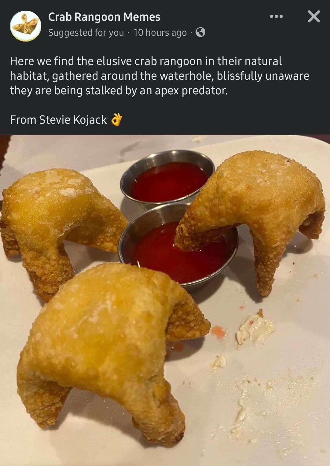 Crab Rangoon Memes o X Suggested for you 10 hours ago Here we find the elusive crab rangoon in their natural habitat gathered around the waterhole blissfully unaware they are being stalked by an apex predator From Stevie Kojack