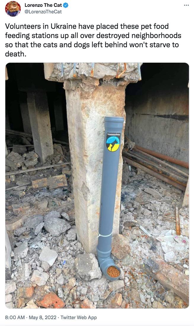 LorenzoTheCat g Lorenzo The Cat Volunteers in Ukraine have placed these pet food feeding stations up all over destroyed neighborhoods so that the cats and dogs left behind wont starve to death 800 AM May 8 2022 Twitter Web App