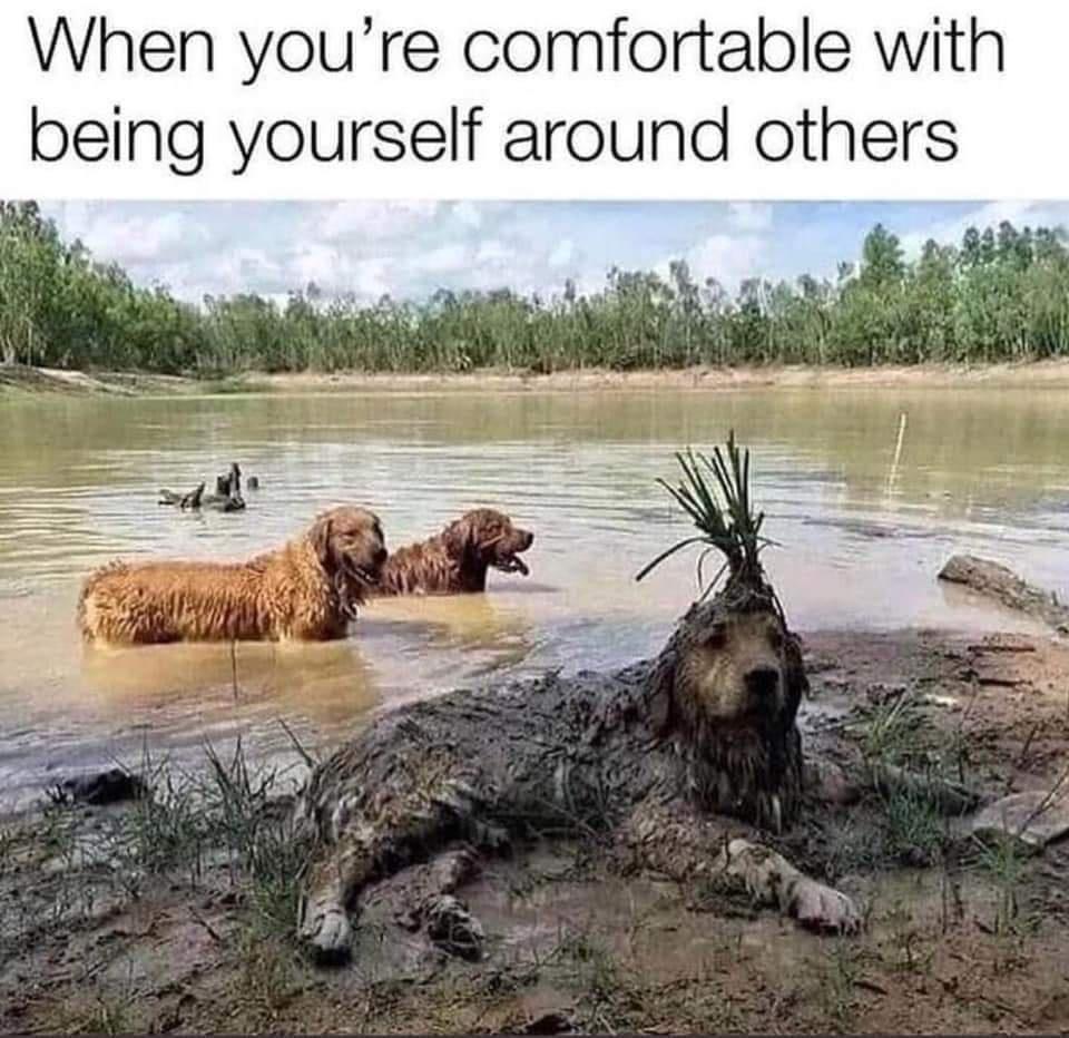 When youre comfortable with being yourself around others