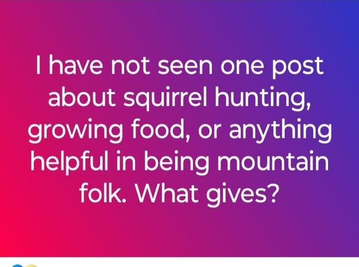 I have not seen one post about squirrel hunting, growing food, or anything helpful in being mountain folk. What gives?