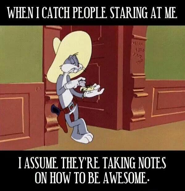 WHEN I CATCH PEOPLE STARING AT ME
I ASSUME THEY'RE TAKING NOTES ON HOW TO BE AWESOME.