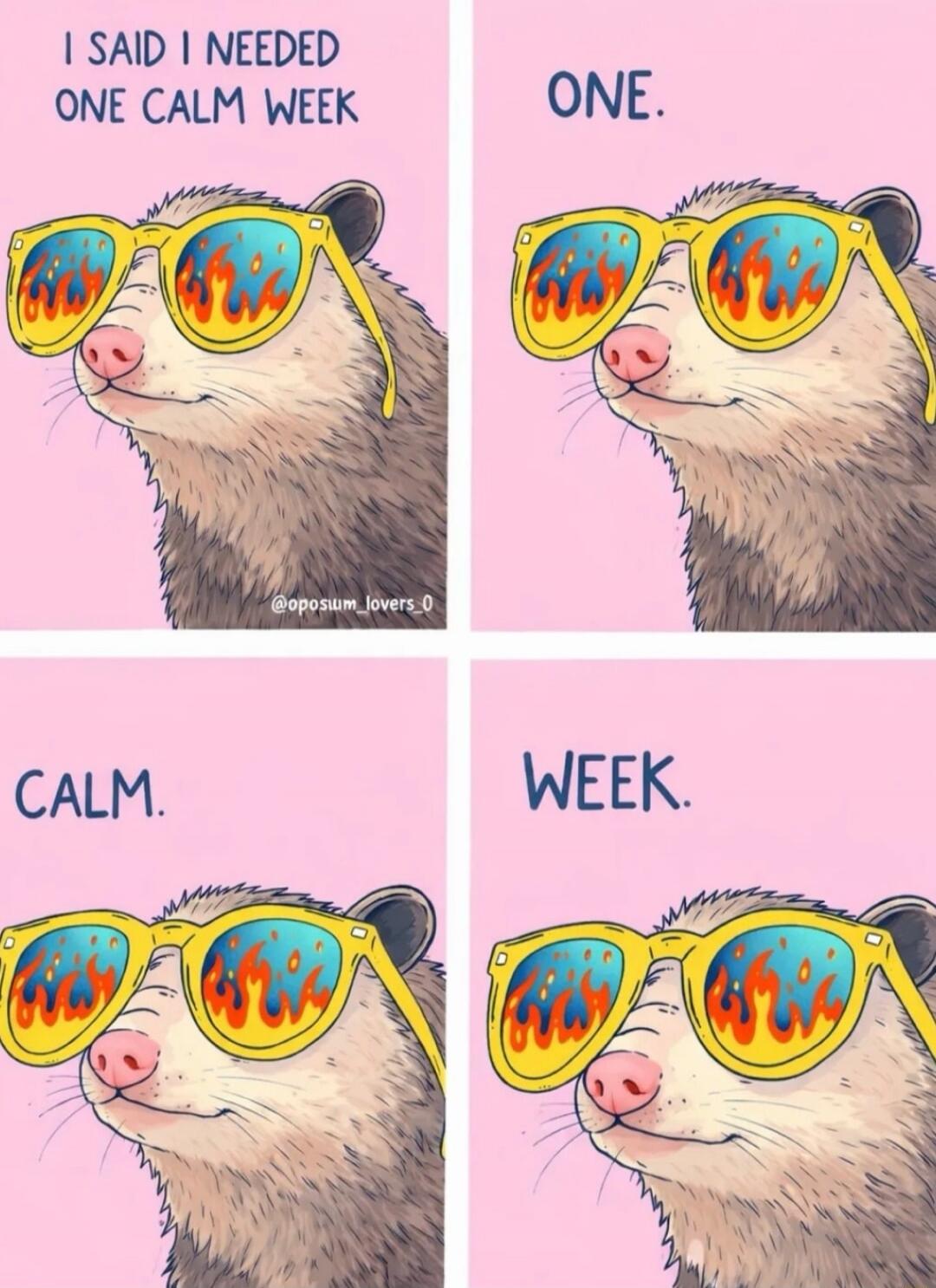 I SAID I NEEDED ONE CALM WEEK. ONE. CALM. WEEK.