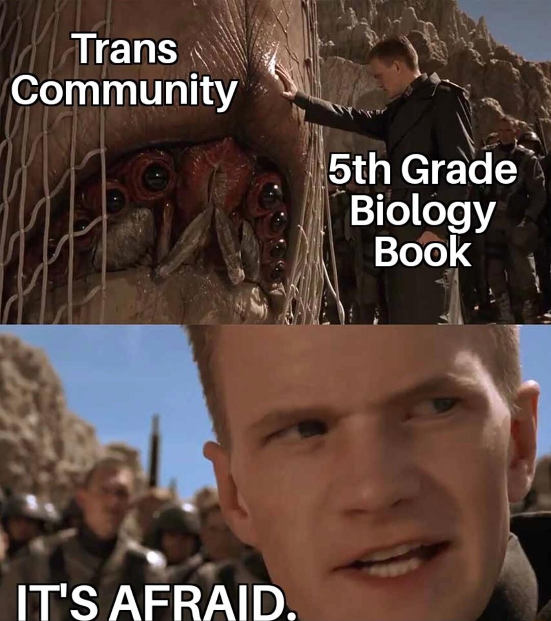 Trans 00111171V10114Y ITS AFRAID