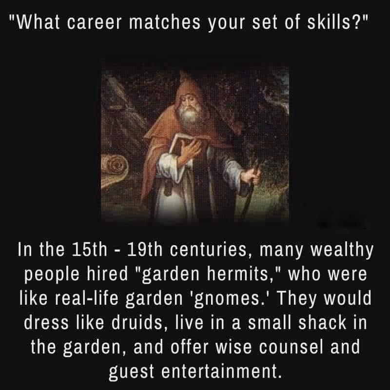 What career matches your set of skills LRGN N O EUVRTEEL G people hired garden hermits who were like real life garden gnomes They would dress like druids live in a small shack in the garden and offer wise counsel and guest entertainment