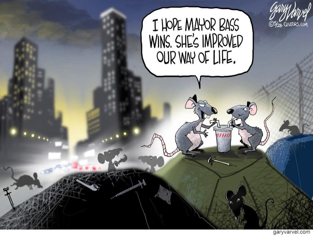 I HOPE MAYOR BASS WINS. SHE'S IMPROVED OUR WAY OF LIFE.