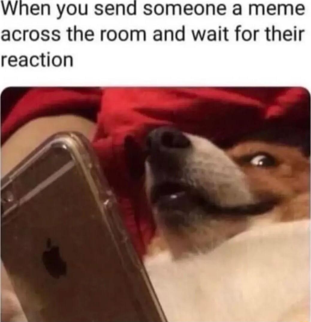 When you send someone a meme across the room and wait for their reaction