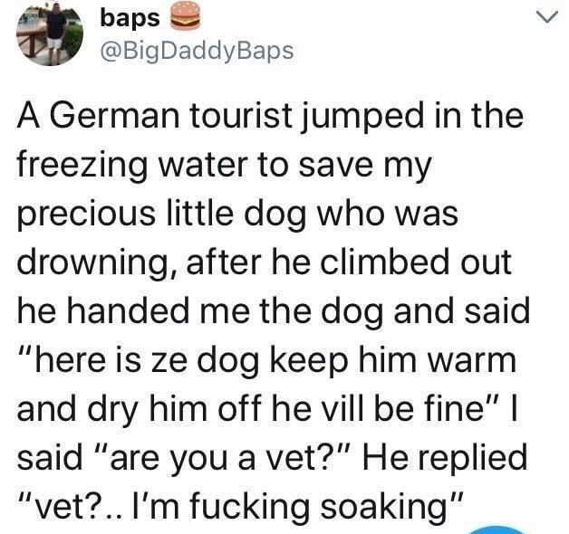 baps v BigDaddyBaps A German tourist jumped in the freezing water to save my precious little dog who was drowning after he climbed out he handed me the dog and said here is ze dog keep him warm and dry him off he vill be fine said are you a vet He replied vet1m fucking soaking 1 AA AMNA Mav O 927N19Q A