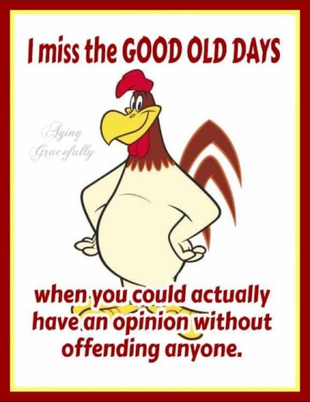 I miss the GOOD OLD DAYS when nyou could uctually haveanc opmlon n without offending anyone