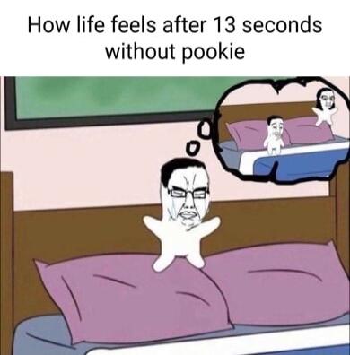 How life feels after 13 seconds without pookie