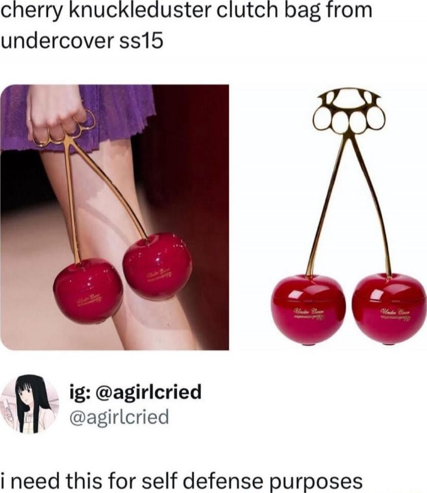 cherry knuckleduster clutch bag from undercover ss15

ig: @agirlcried
@agirlcried

i need this for self defense purposes