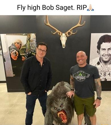 Fly high Bob Saget RIP