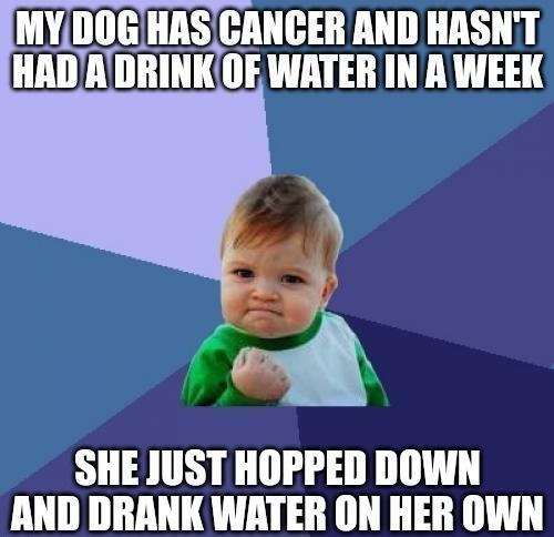 MYDOGHASCANCER AND HASNT HADADRINKOF WATER IN A WEEK SHE JUST HOPPED DOWN AAND DRANK WATER ON HER OWN