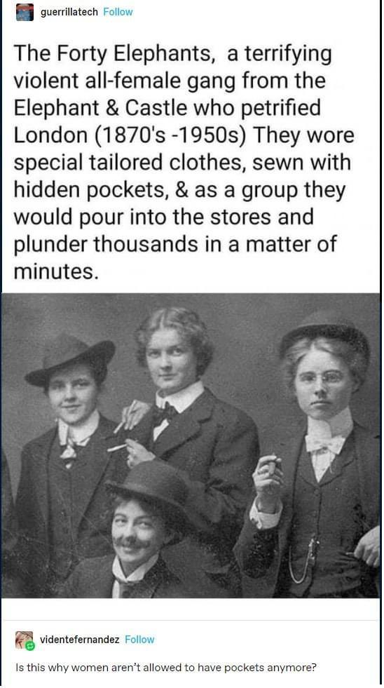 B sueritiatech The Forty Elephants a terrifying violent all female gang from the Elephant Castle who petrified London 1870s 1950s They wore special tailored clothes sewn with hidden pockets as a group they would pour into the stores and plunder thousands in a matter of minutes B videnefernandes I this why women arent allowed to have pockets anymore
