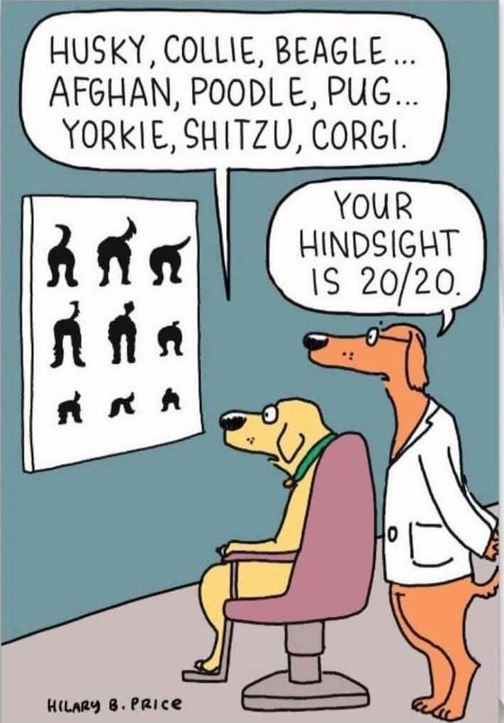 HUSKY, COLLIE, BEAGLE ... AFGHAN, POODLE, PUG ... YORKIE, SHITZU, CORGI. YOUR HINDSIGHT IS 20/20.