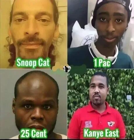 Snoop Cat, 1 Pac, 25 Cent, Kanye East