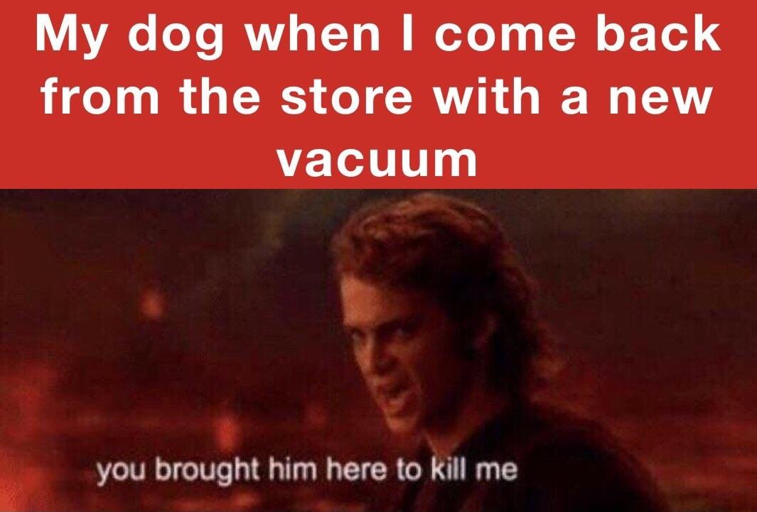 V AV oY VA s TYo I Moo g g o F Tod HEOIMBRUEERIICRVALERIEY vacuum you brought him here to Kill me